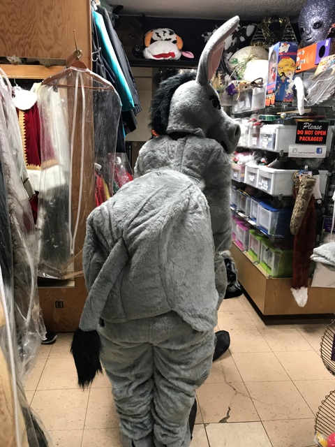 adult-mascot-rental-costume-animal-donkey-two-person-back